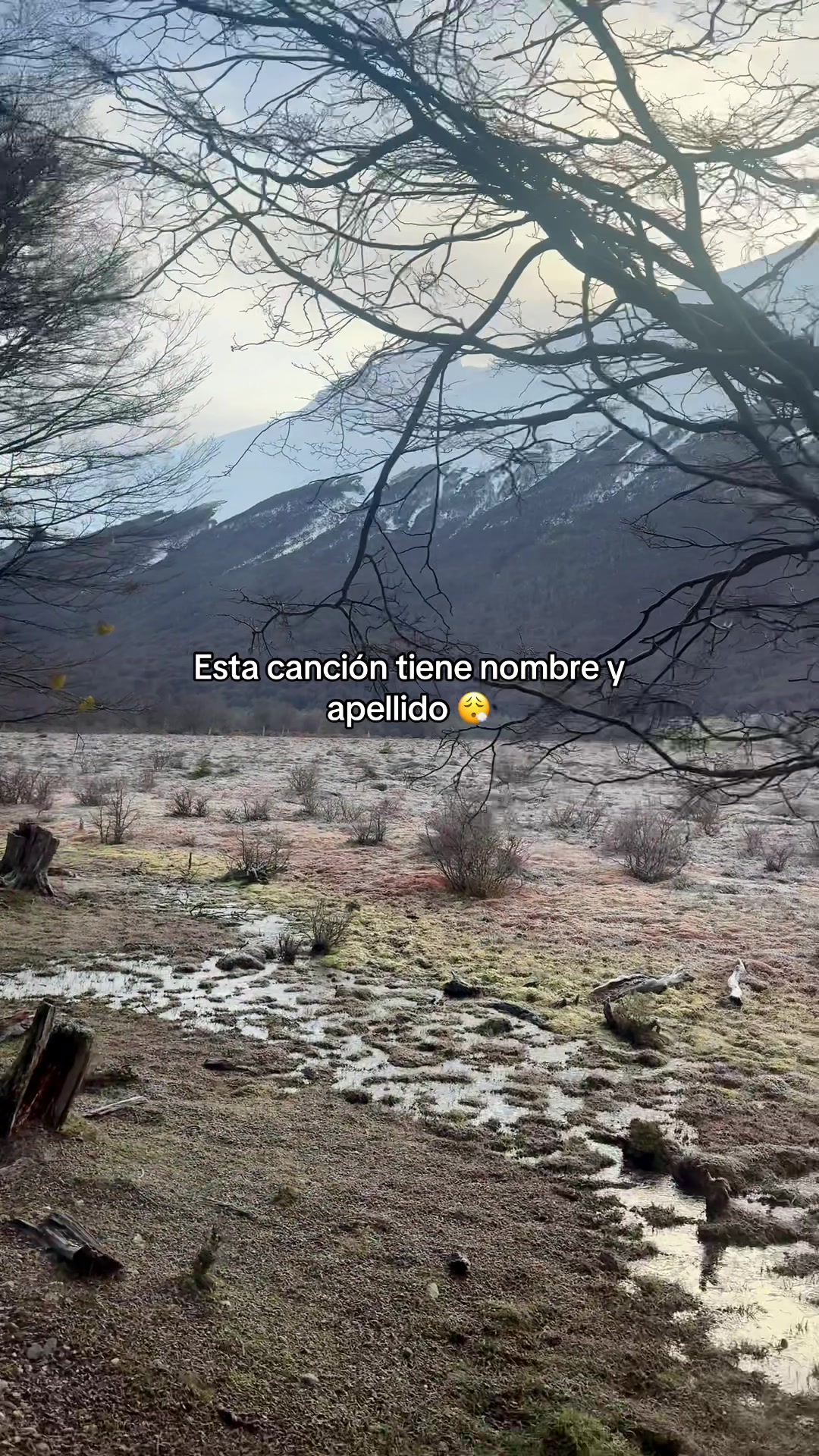 @Ly