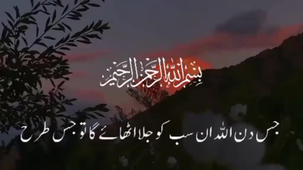 @Fatima queen786