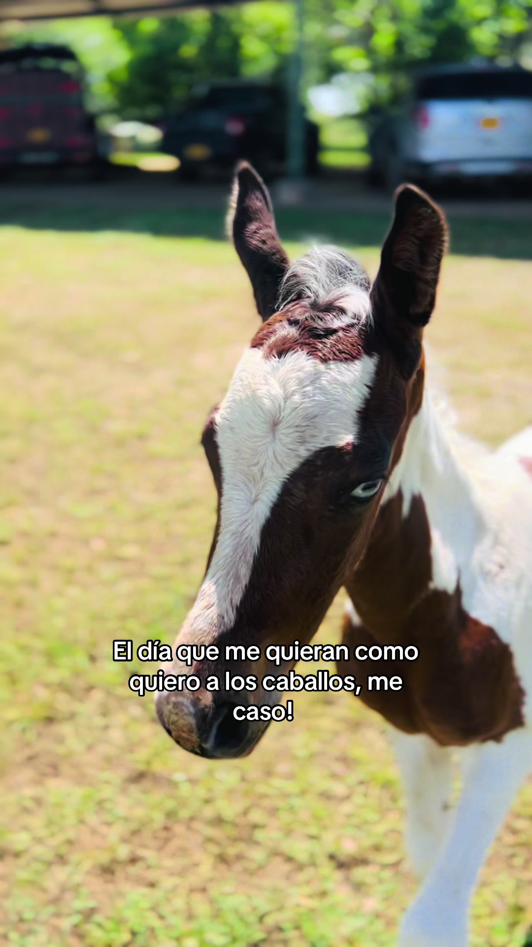 @Manuel Perez