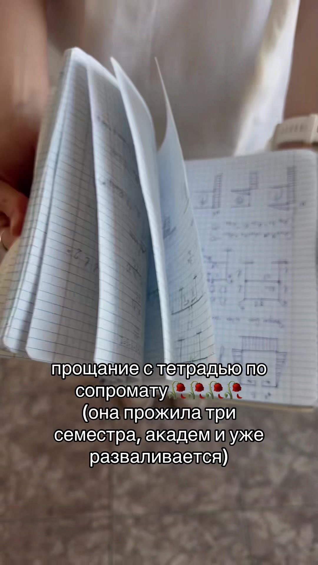 @василисочка