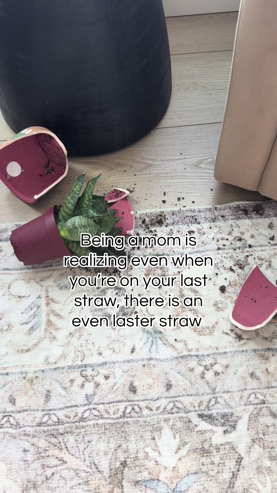 @everydaysavvymom