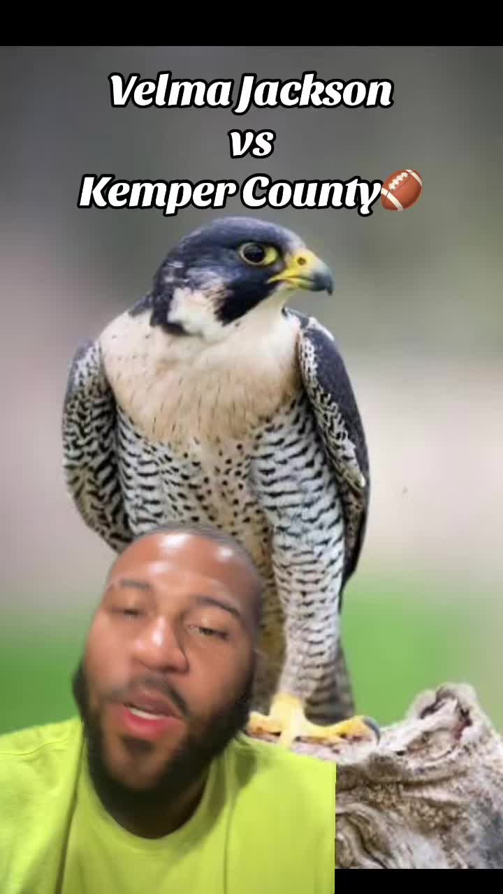 @Dirty Redd