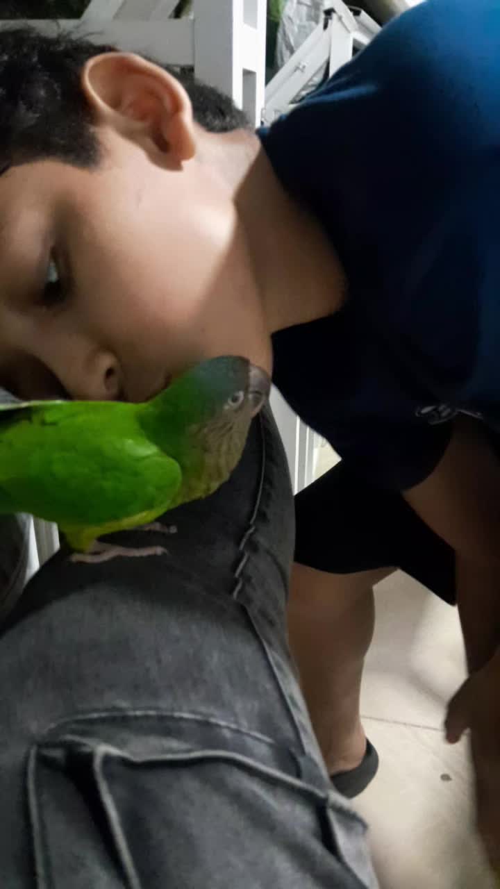@Geraldine Varela