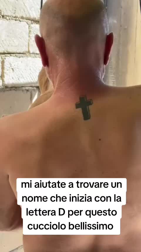 @Alfio Arcifa Magistrale