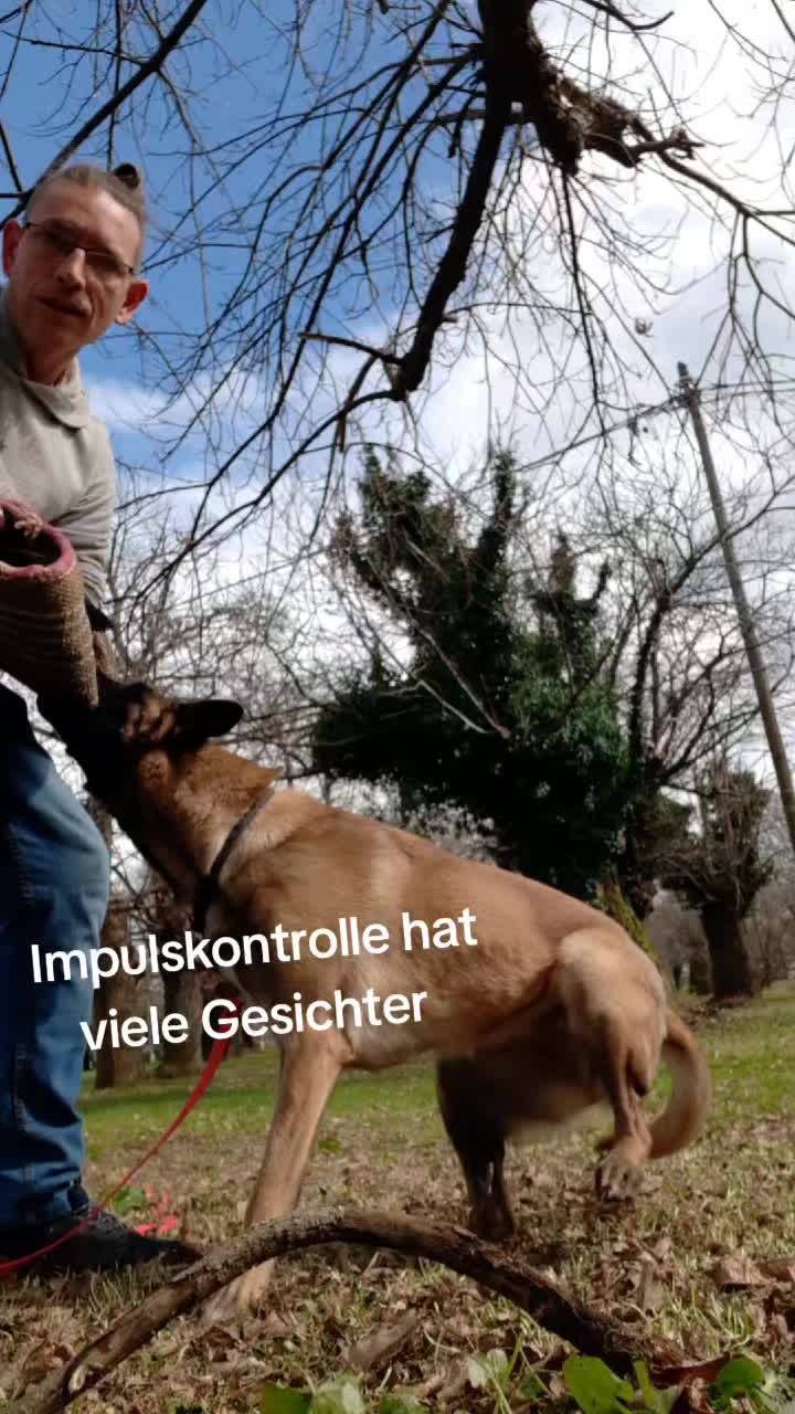 @Malinoirist Bootcamp