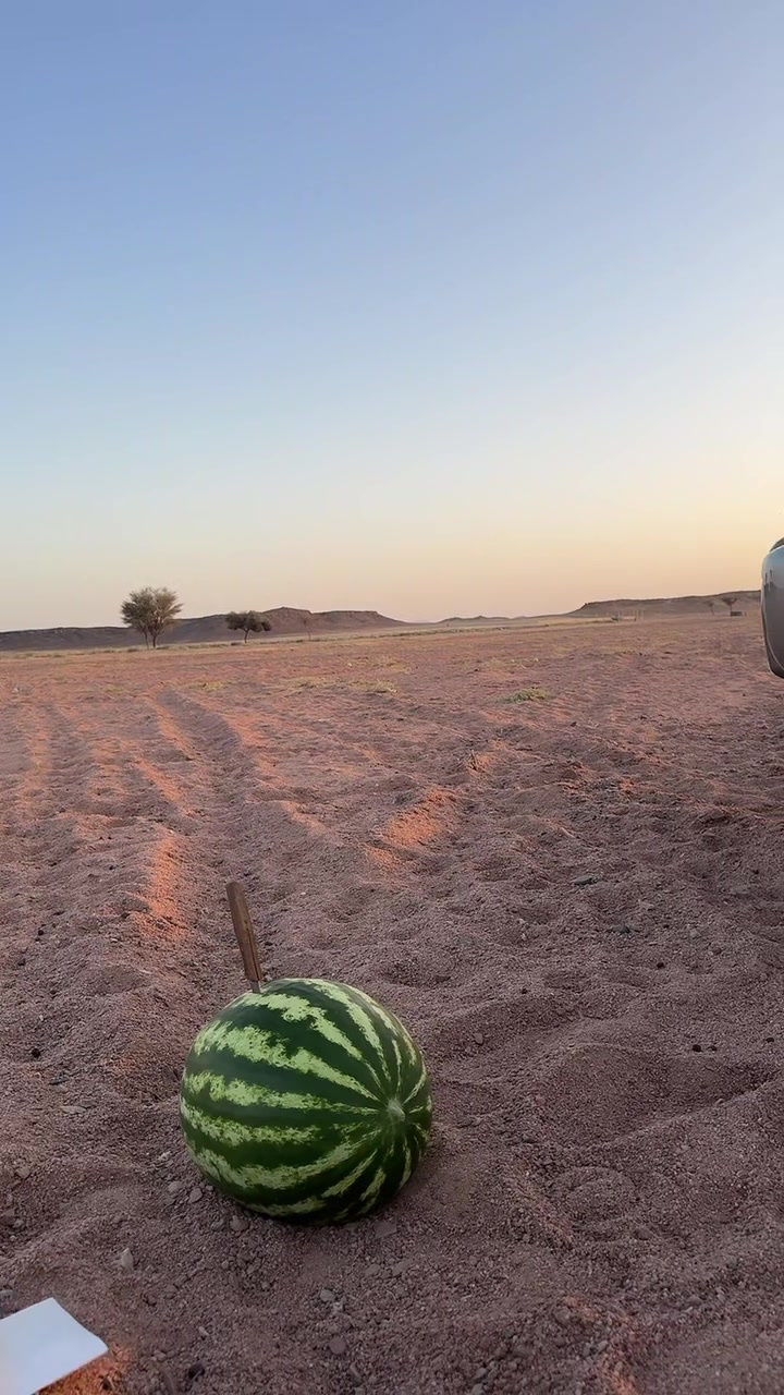 @بـوح المقوعي Ք⁴°⁴