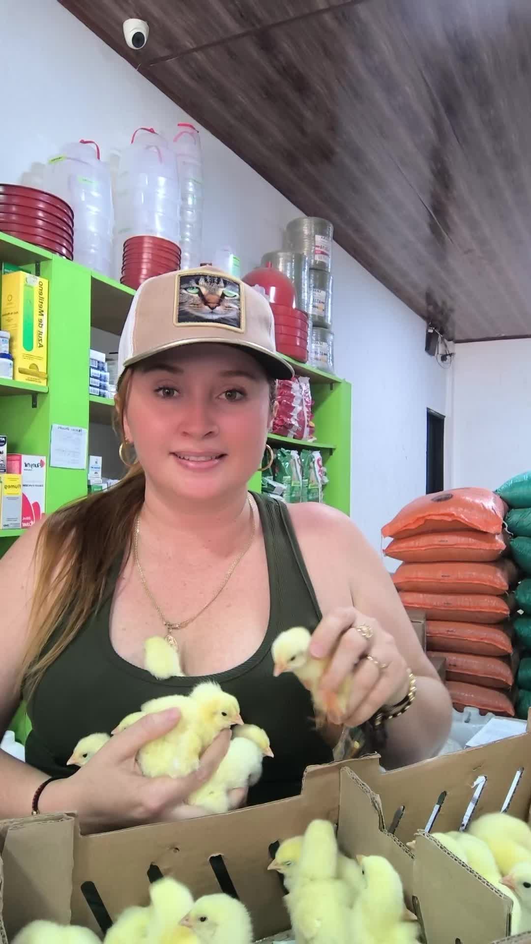 @monarca_pao