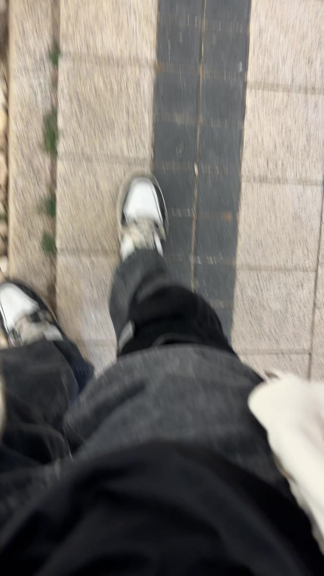 @sacitt2