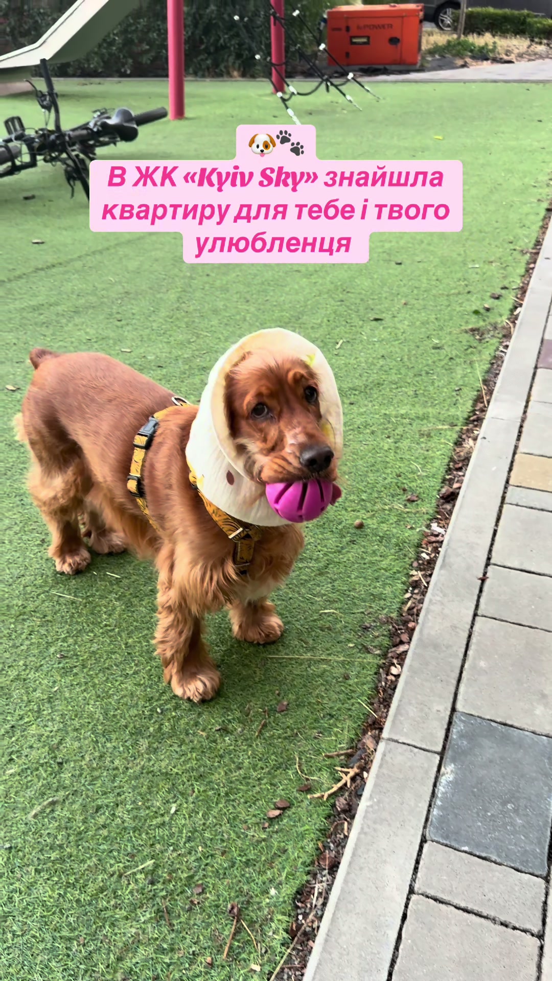 @Маша Рієлтор Луцьк❤️