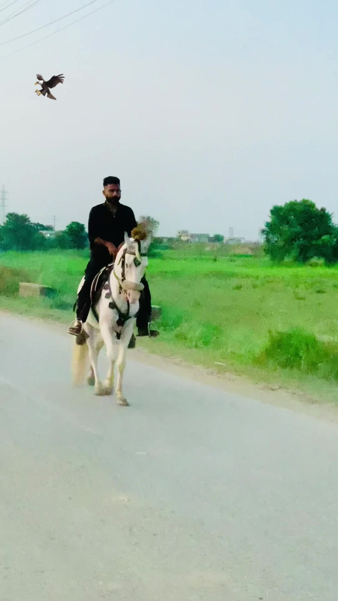 @🦅Ch-Asjad-Ali-Saidagoll🐎