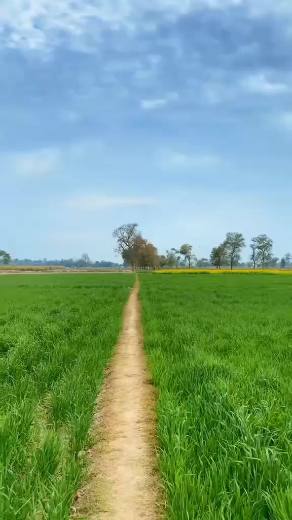 @Akram Baloch,, 🚩🤝