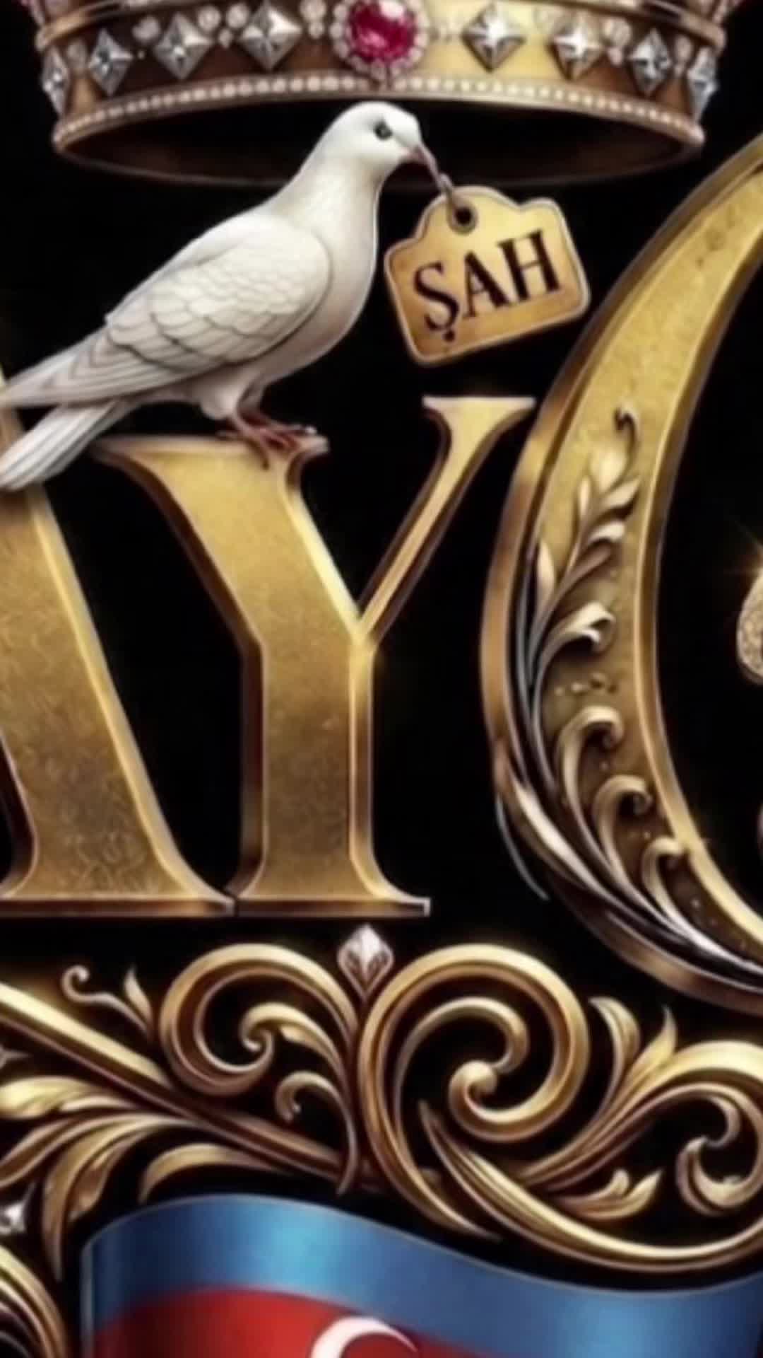 @୨ৎ𝒜𝔂𝓰&ouml;ᶻ𝓮ˡ🤍Şᵃˣ🎙️🕊️🇦🇿✅