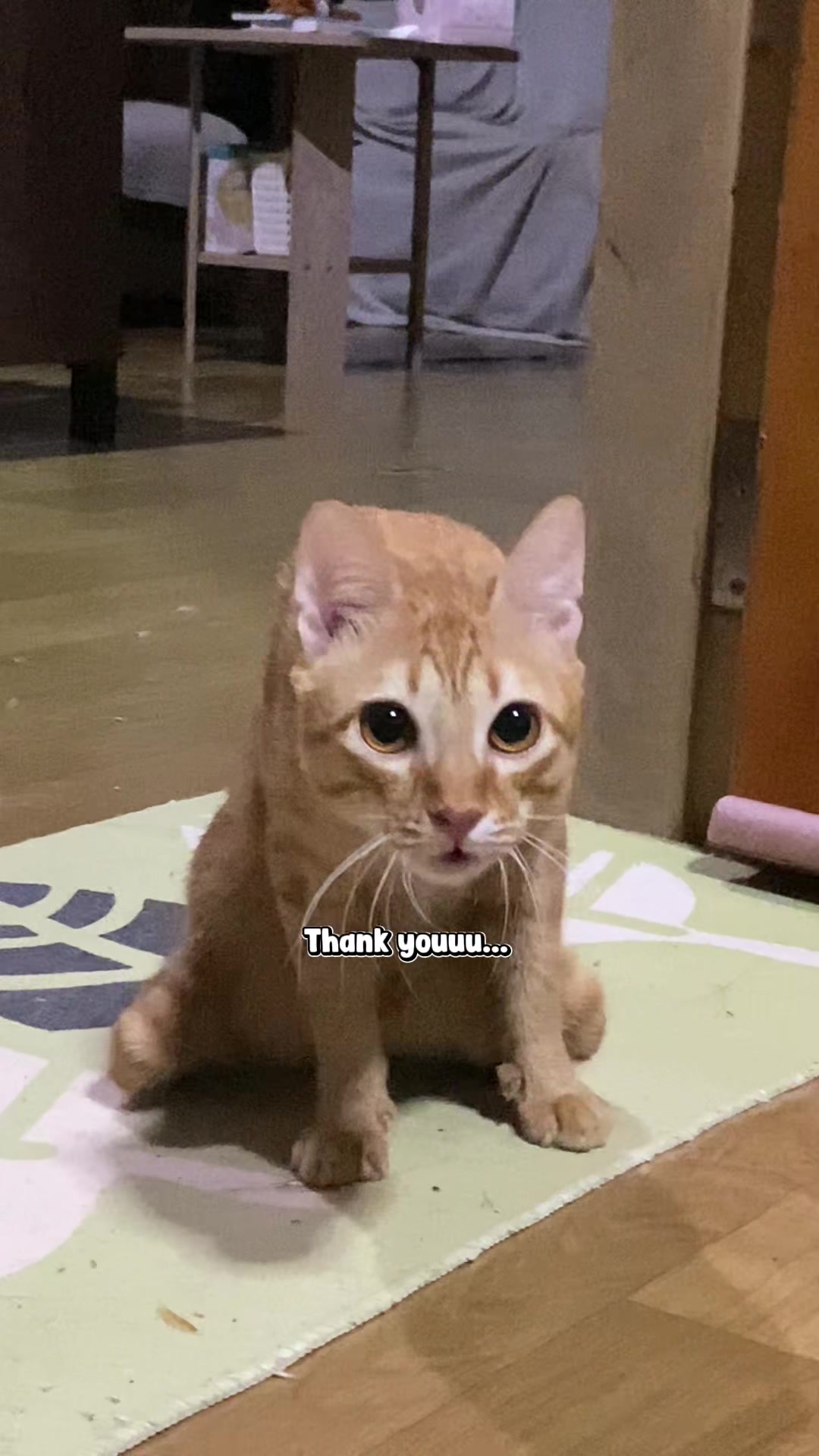 @eilliebear