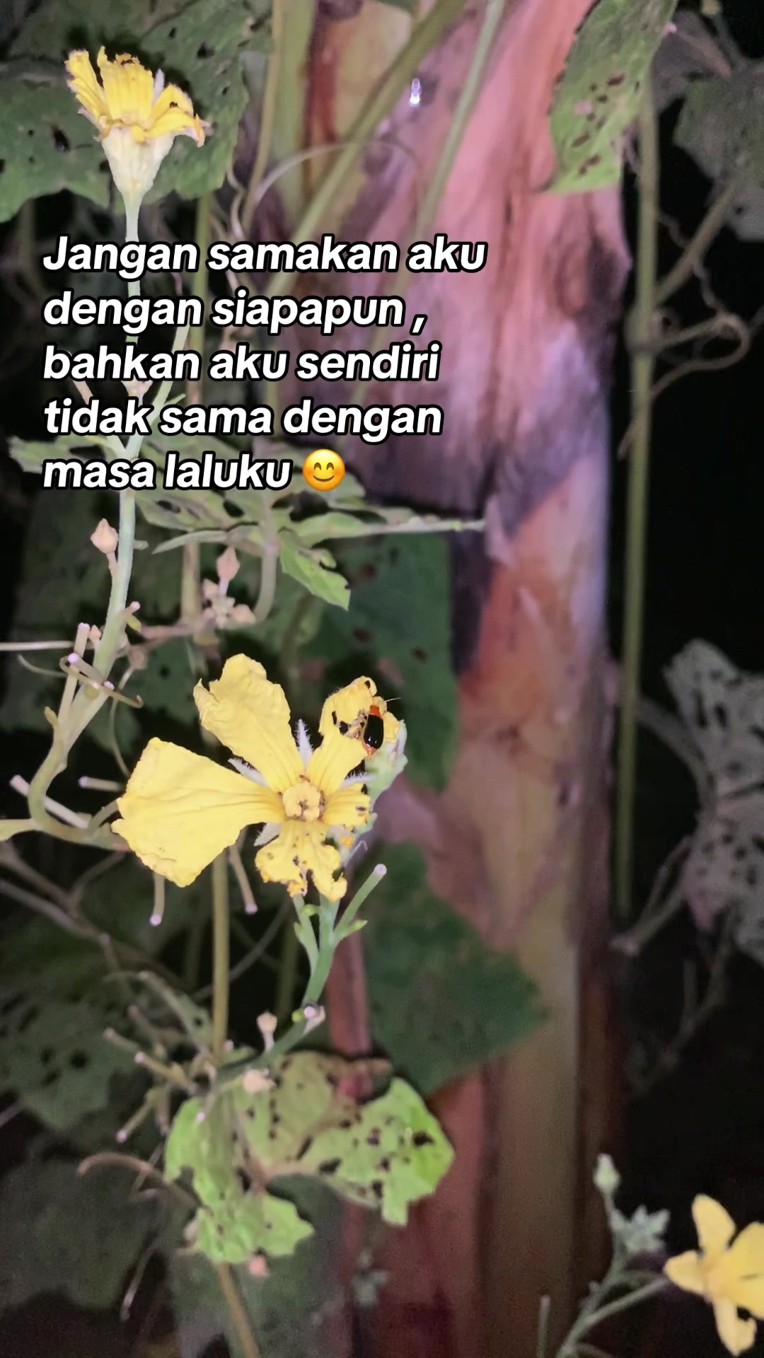 @๐๐จ๐๐๐๐๐ฃ๐๐ ๐ท