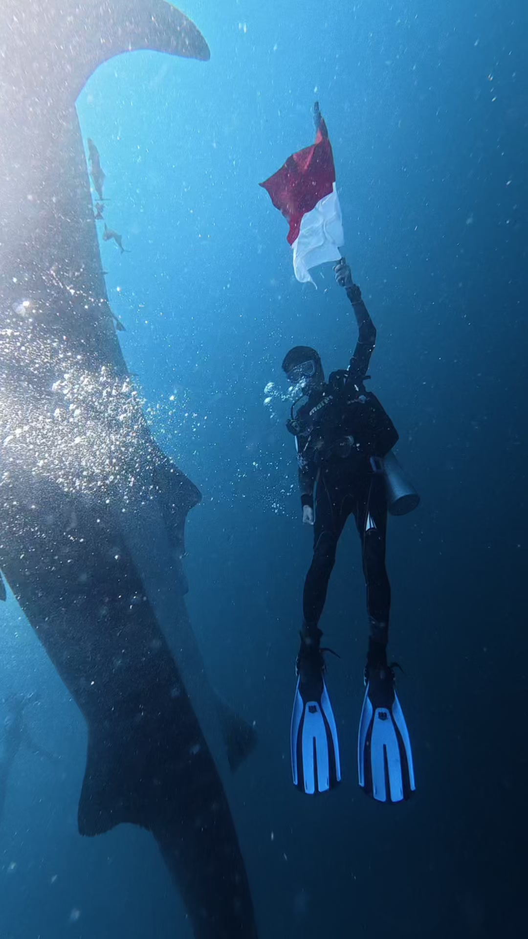 @Pesona Indonesia