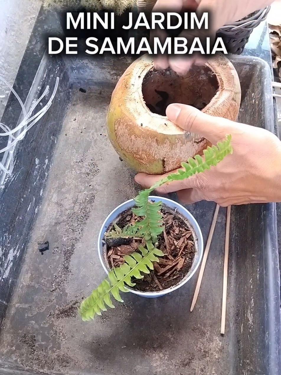 @EcoaBio - Educa&ccedil;&atilde;o Ambiental