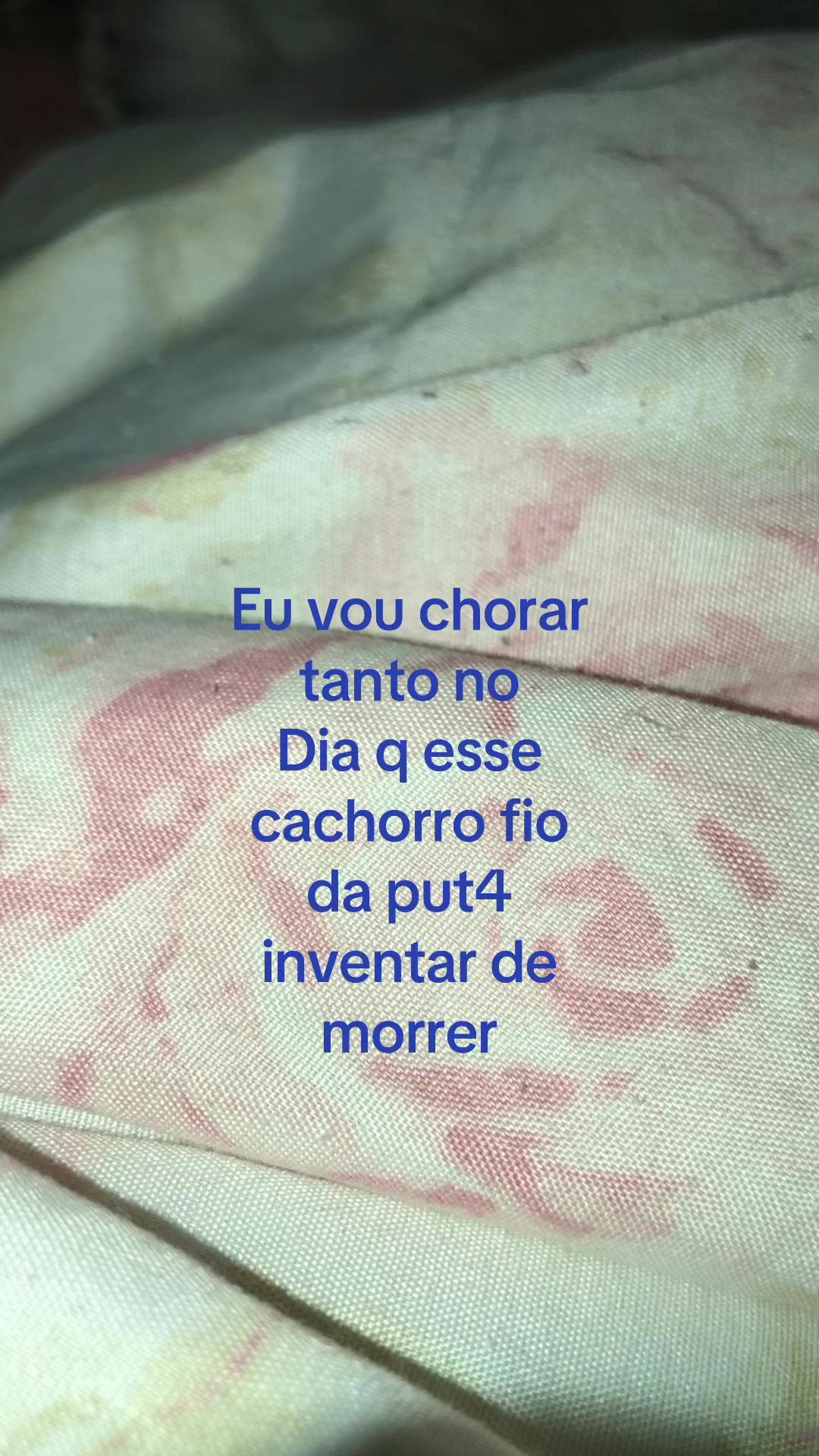 @Memel⏳