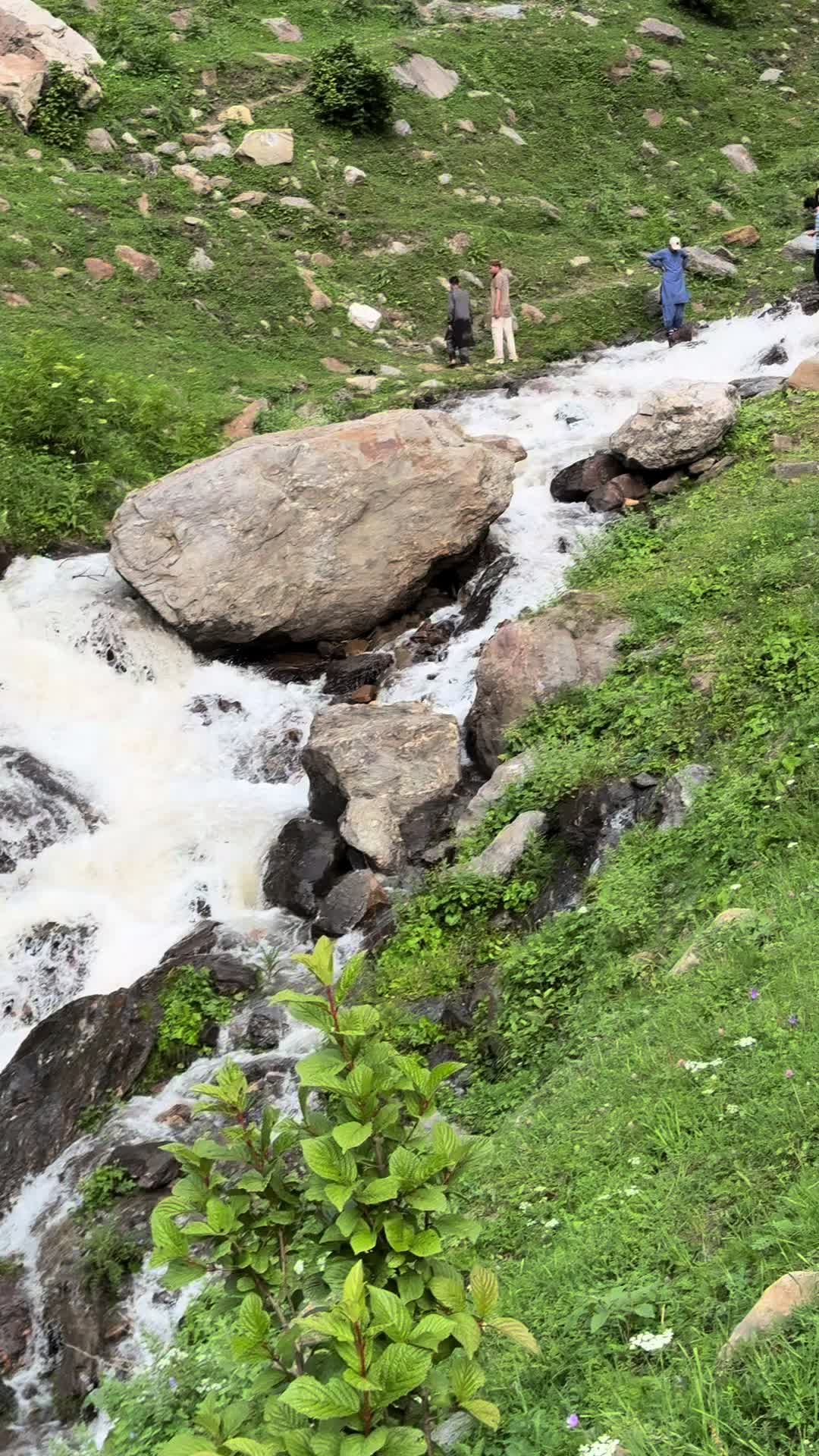 @🥷🏿☝🏻Huzaifii444☝🏻🐺