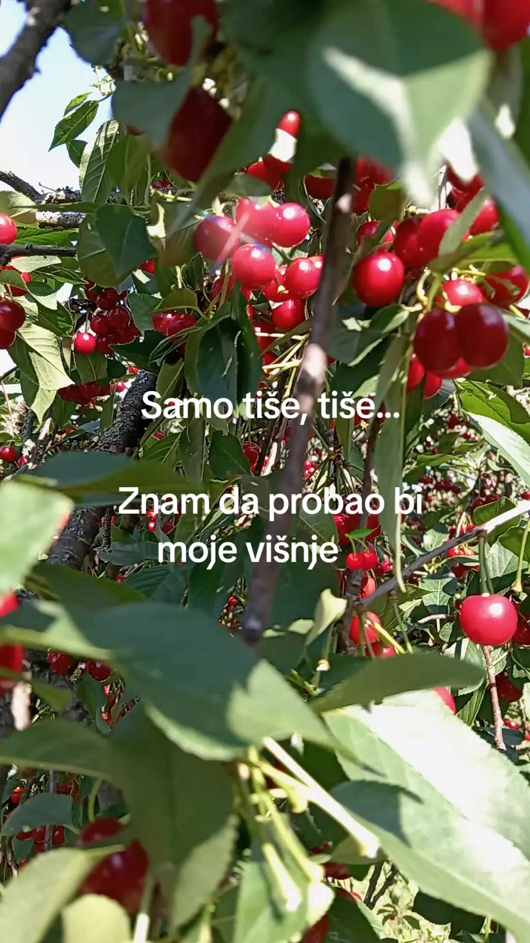 @Hajnalka