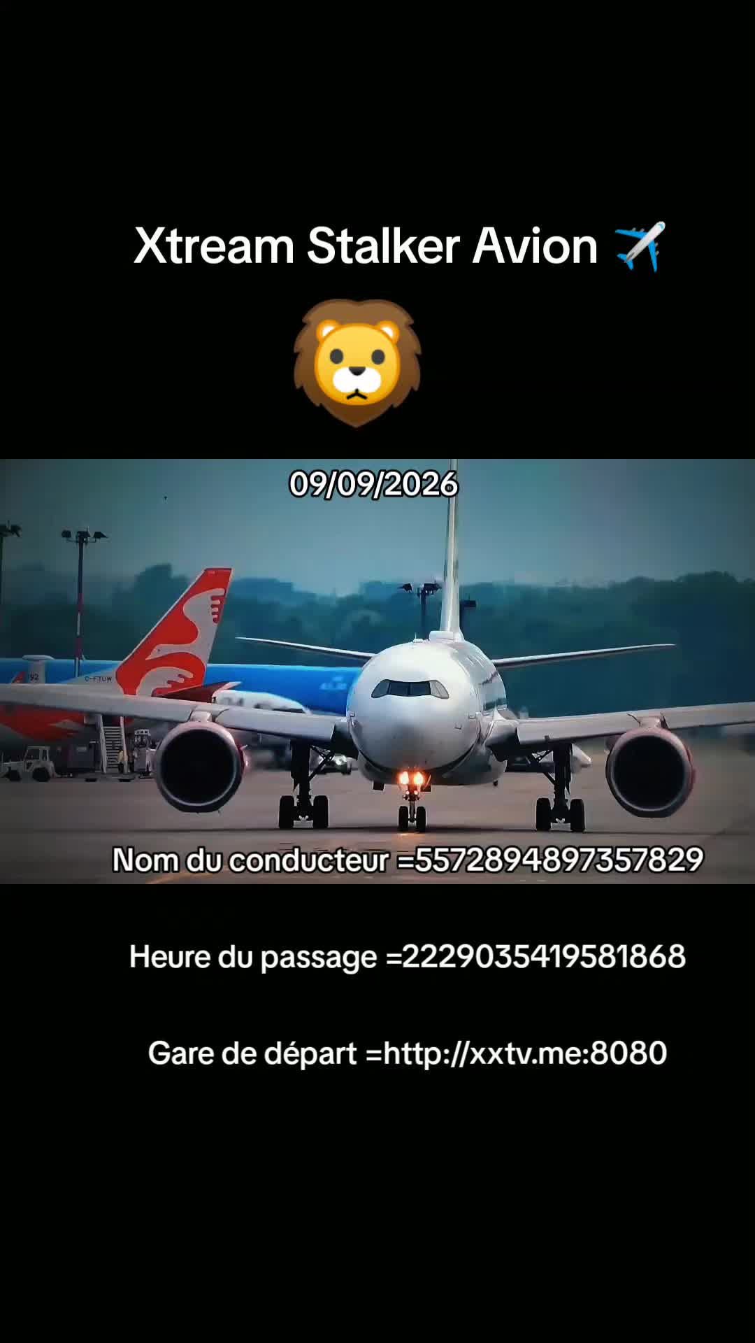 @𝗔𝗶𝗿_𝘅𝘁𝗿𝗲𝗮𝗺