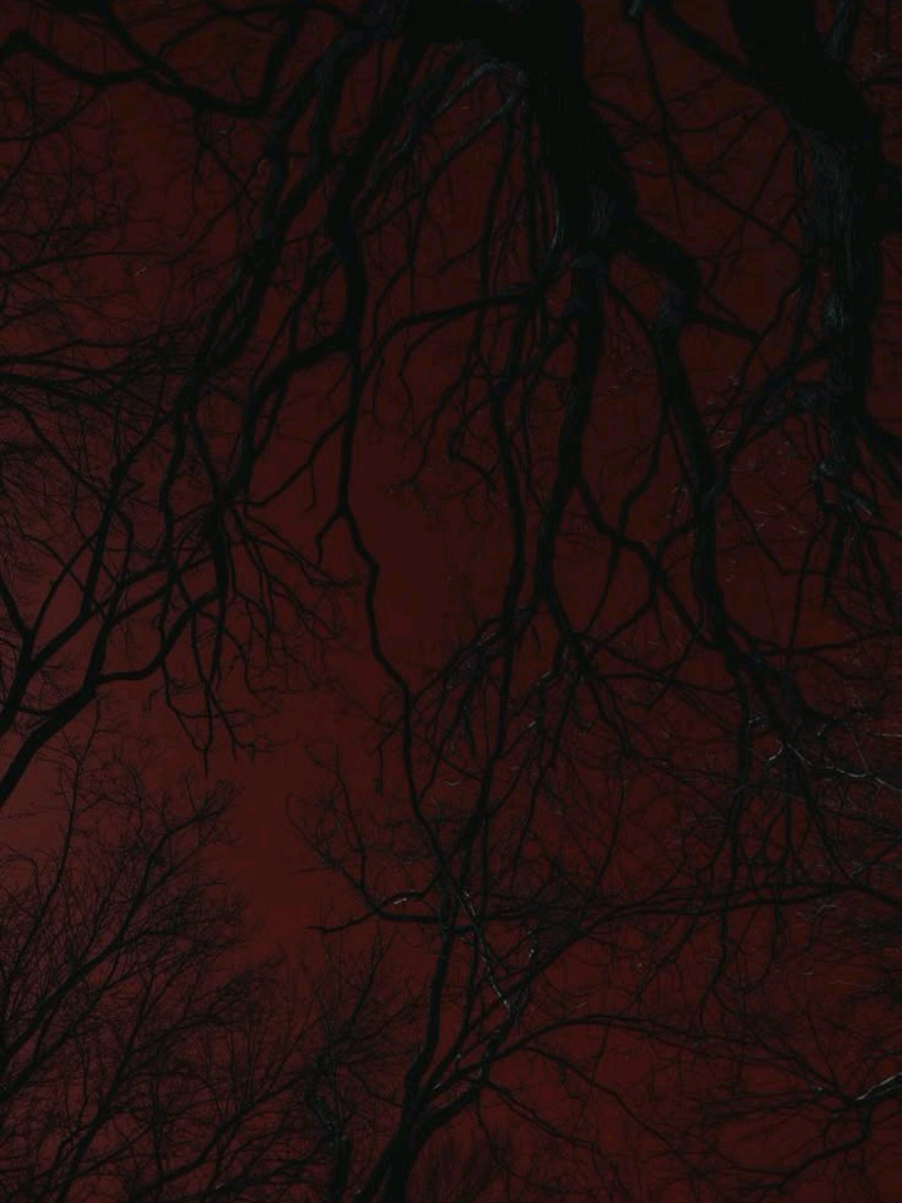 @Alexx🌑
