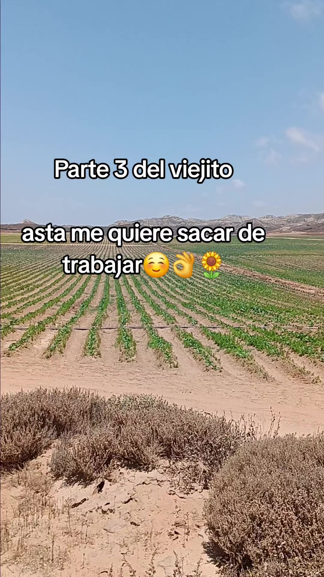 @🍀garcia☘️