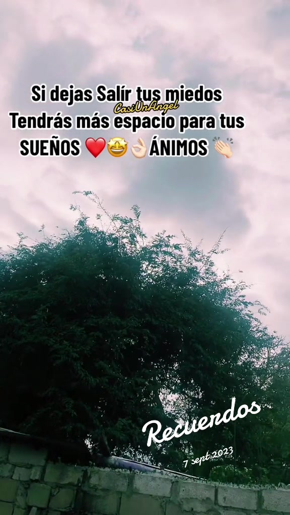 @CASI_UN_ANGEL 🐦🔥