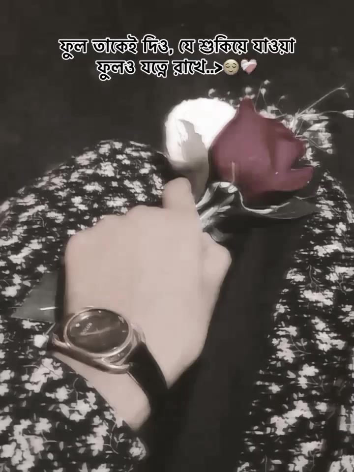 @~𝐍~🌪️