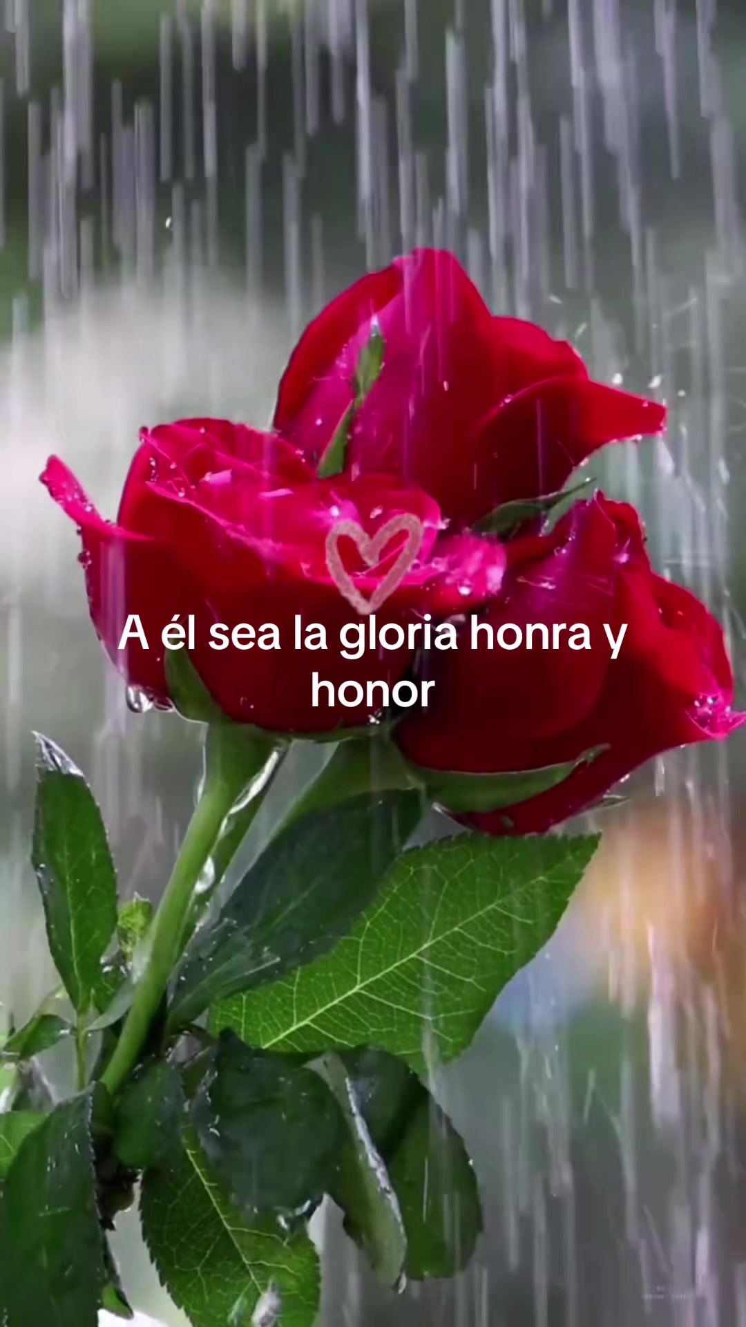 @Águila 331