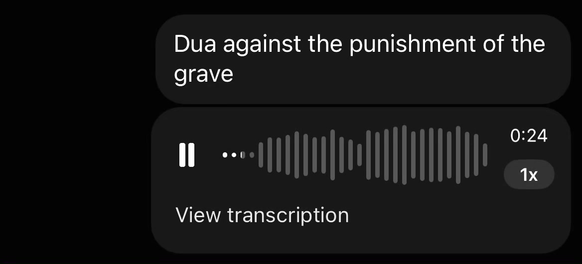 @dxb.mush