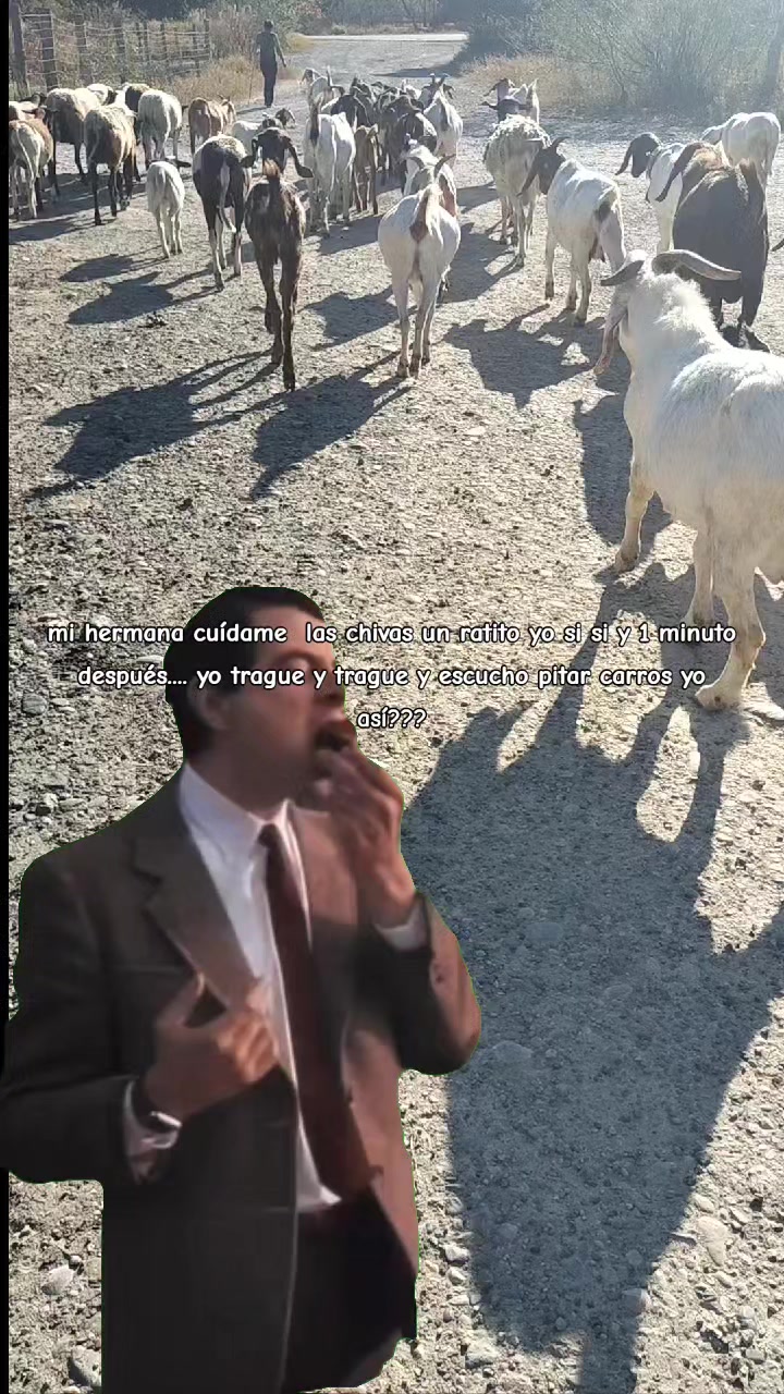 @erikaeligio