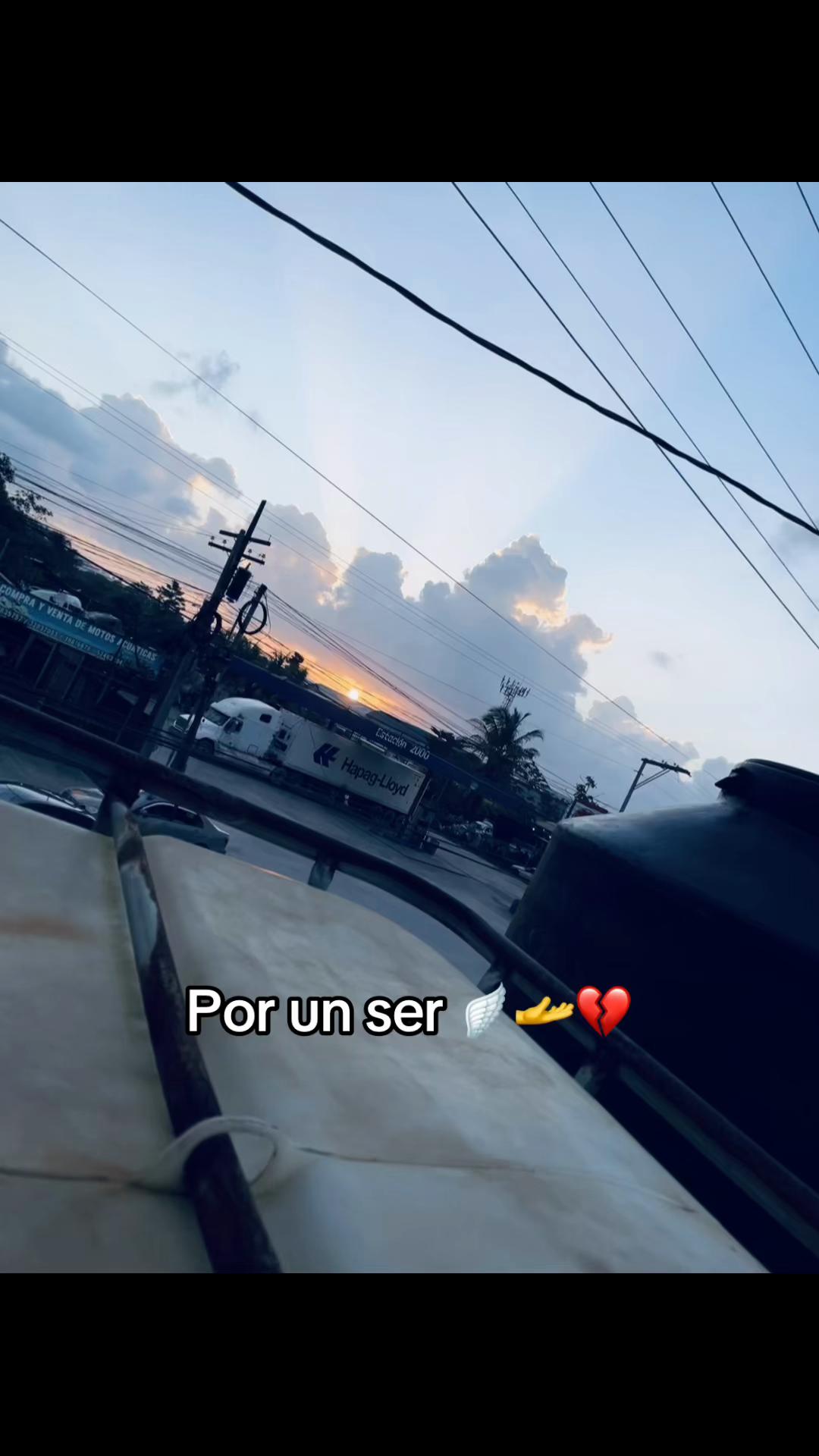 @Lusvin Montufar 🐙