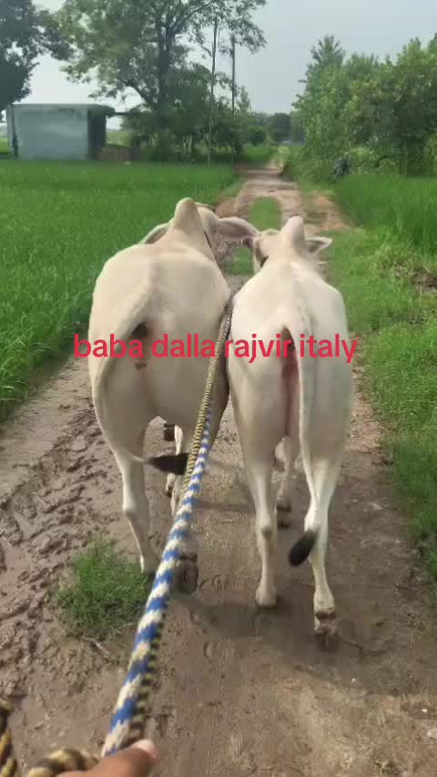 @Sonymavi84