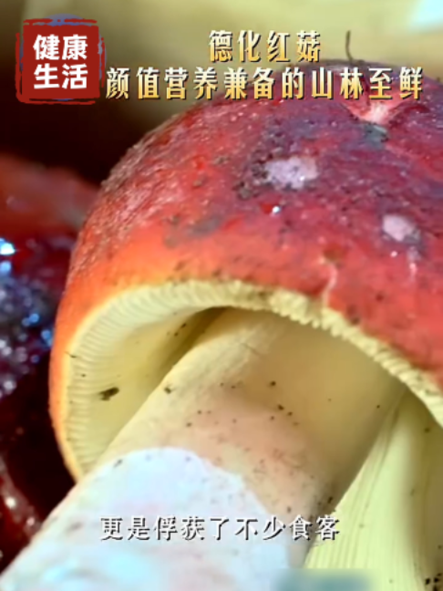 @闽南风~