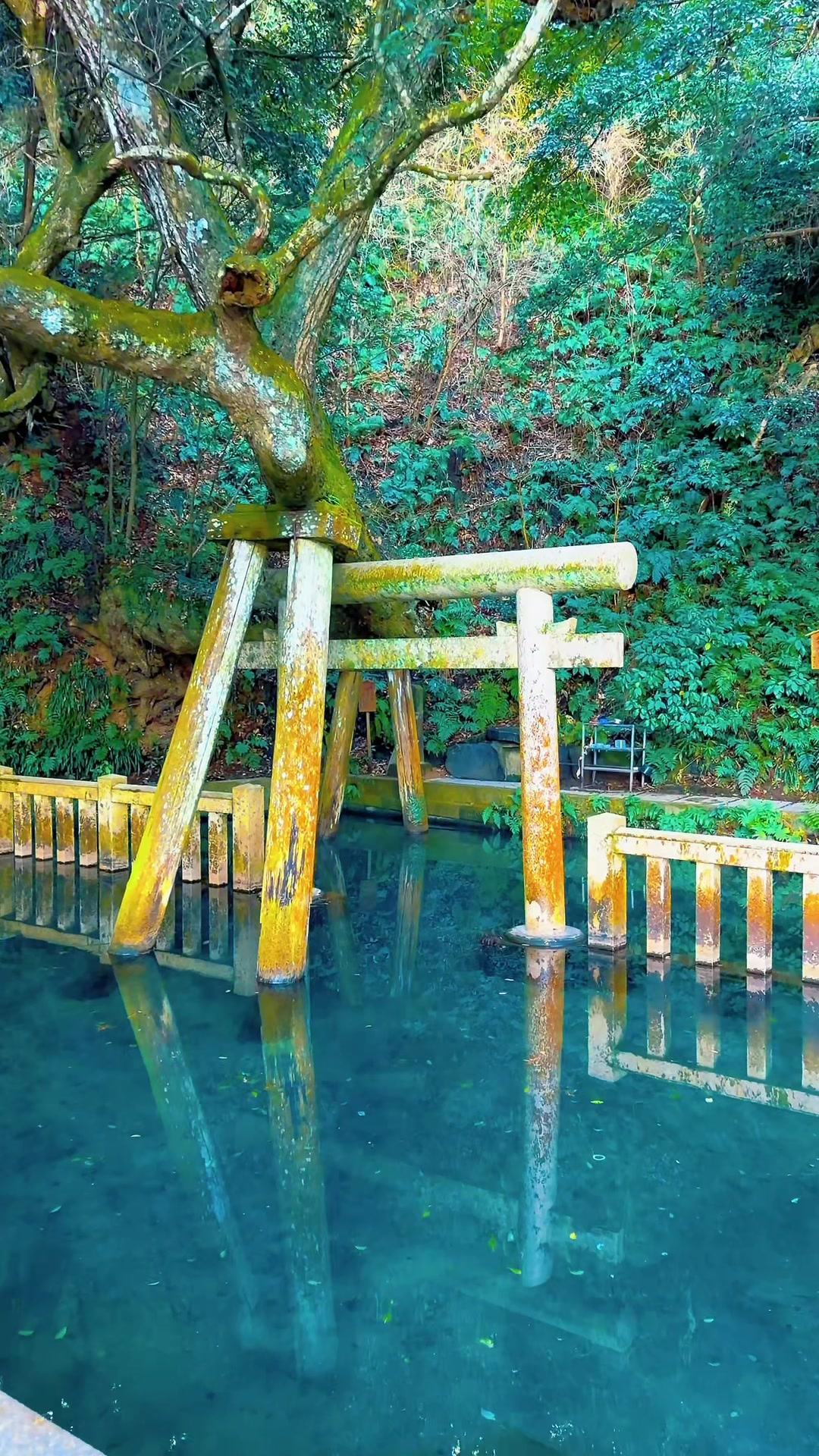 @𝐊𝐚𝐳𝐮𝐤𝐢