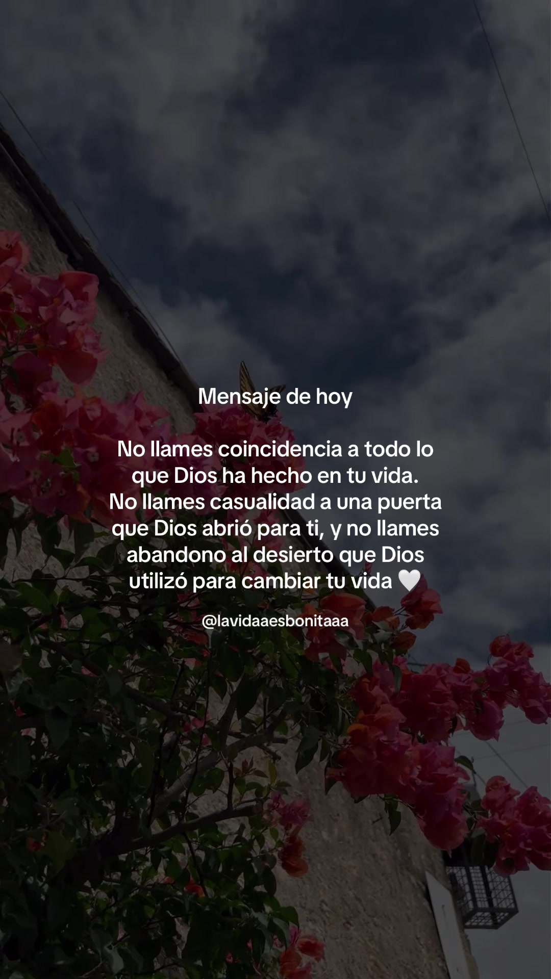 @vidabonita❤️&zwj;🩹
