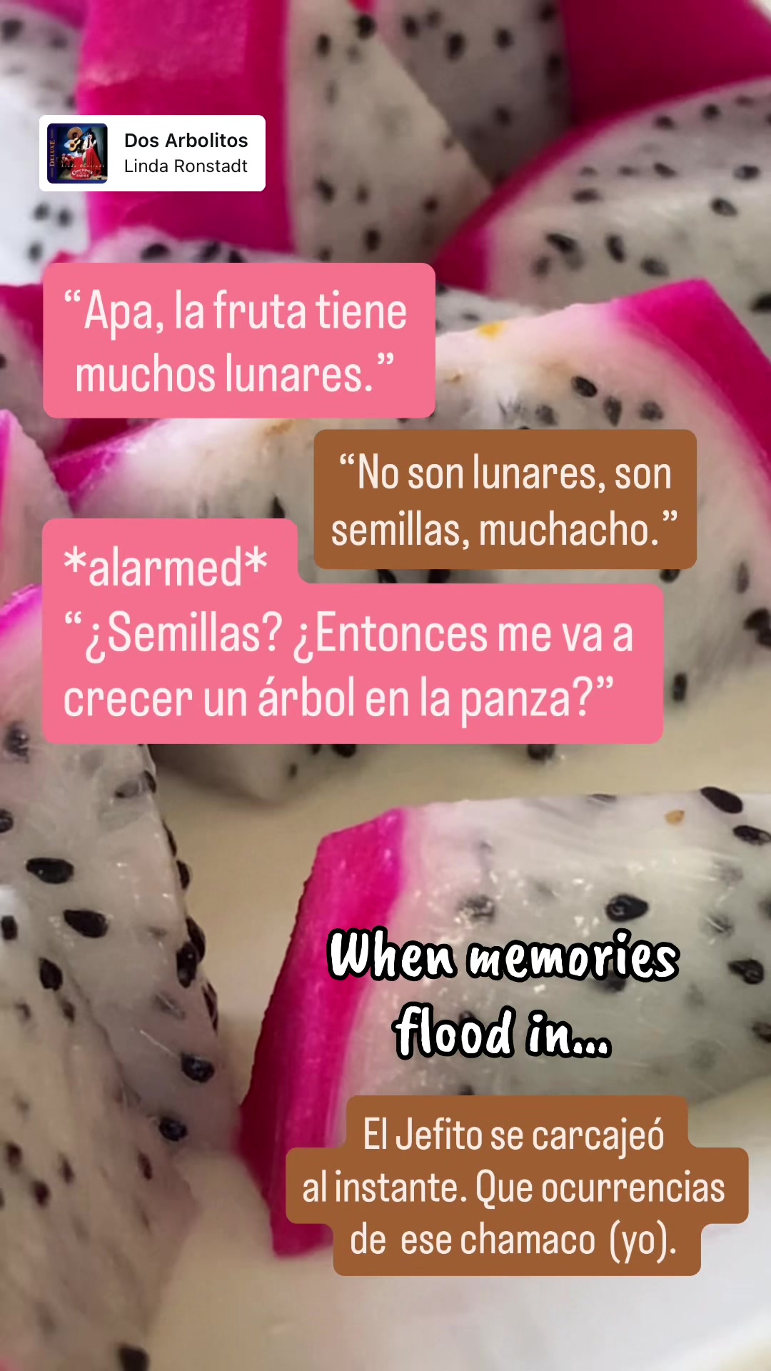 @eternoefimero05