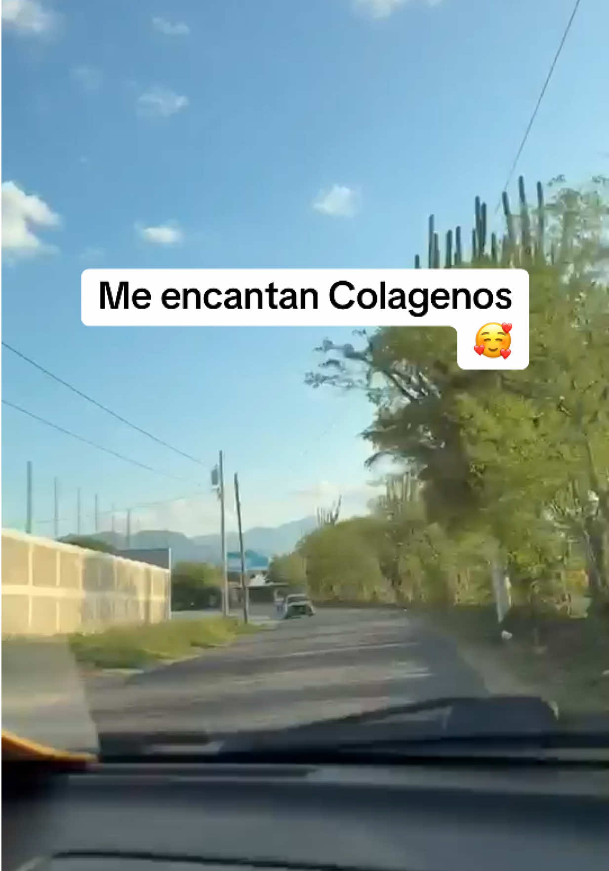 @Claudia Trabanino🦋