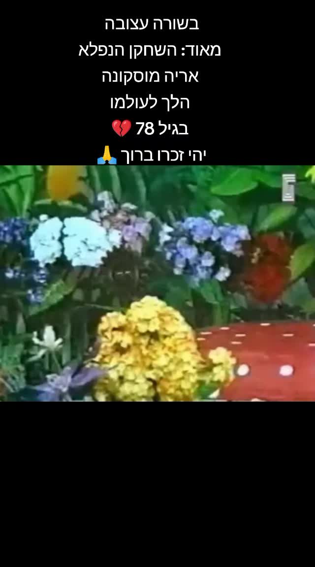 @עמוד נוסטלגיה מכל הזמנים