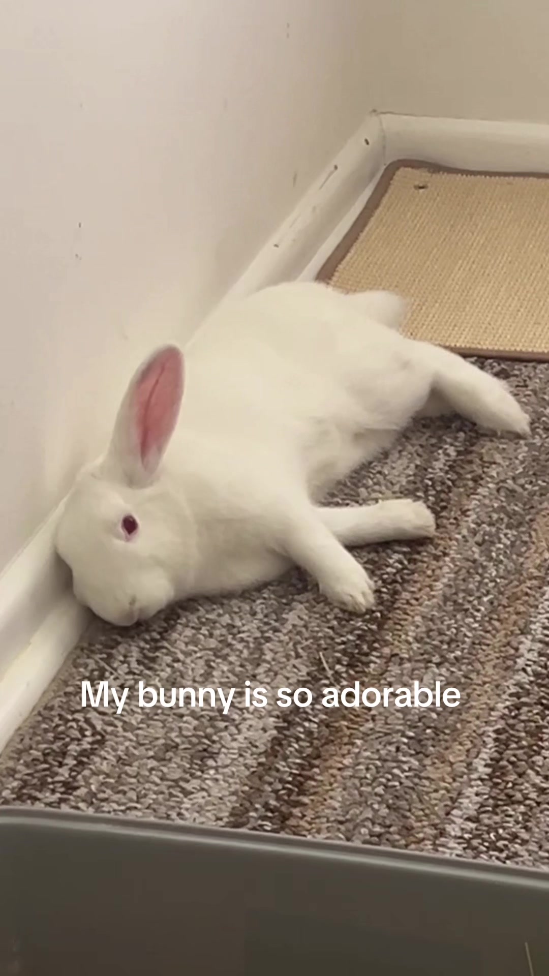 @april