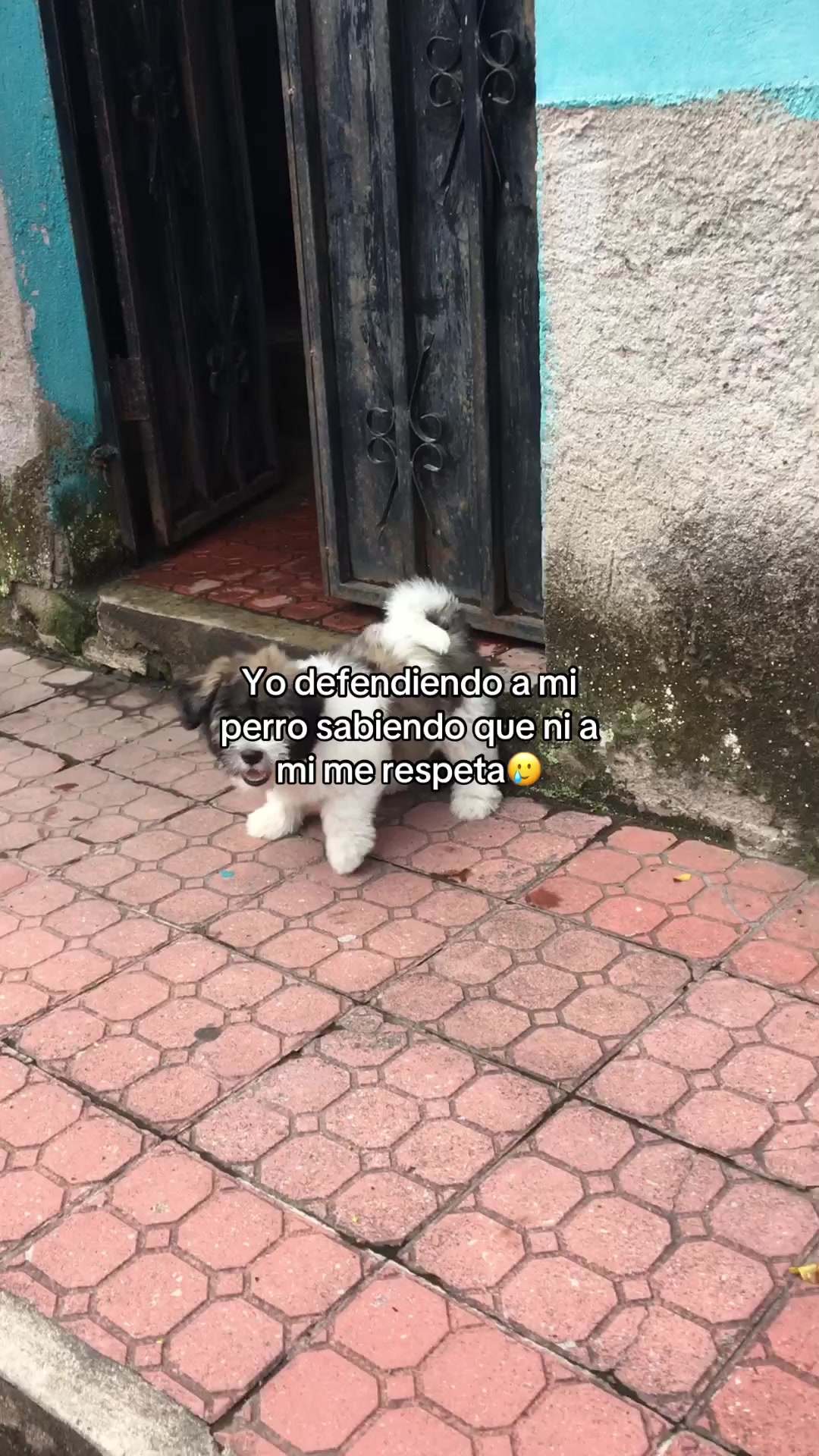@Yas🤍
