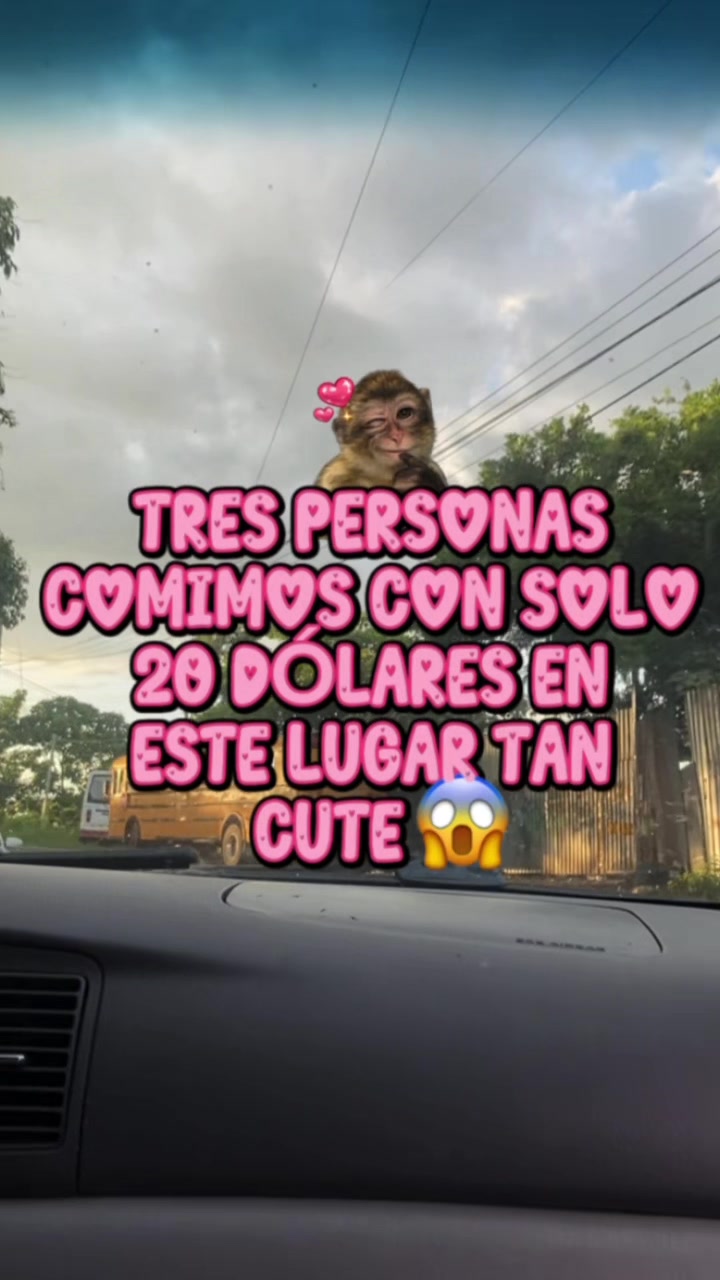 @kathe_ha14