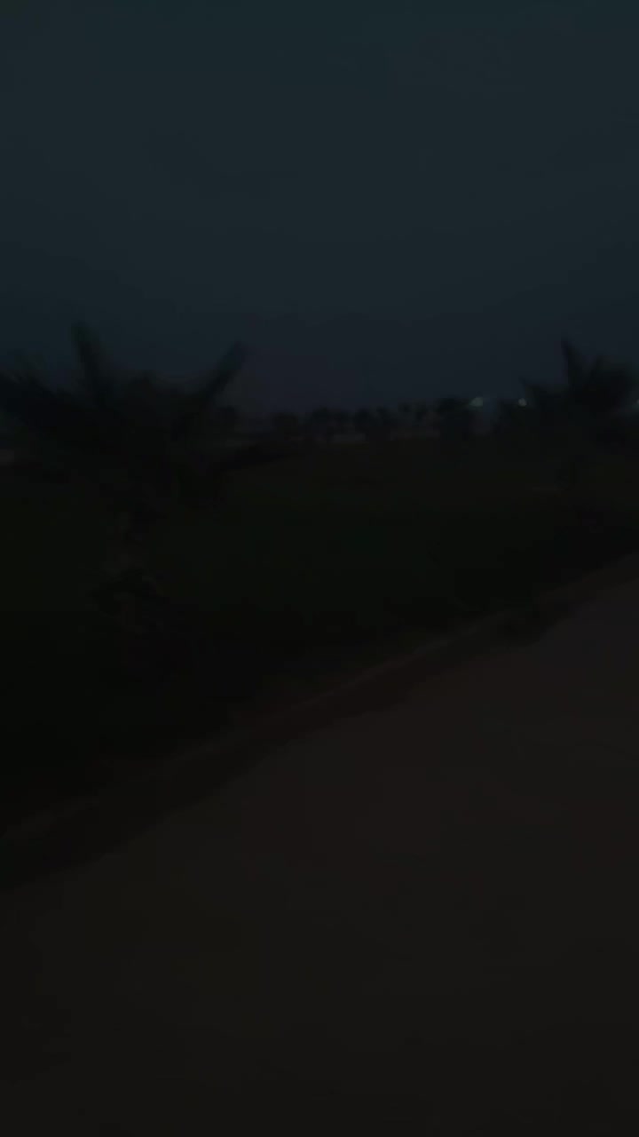 @warda chiraz