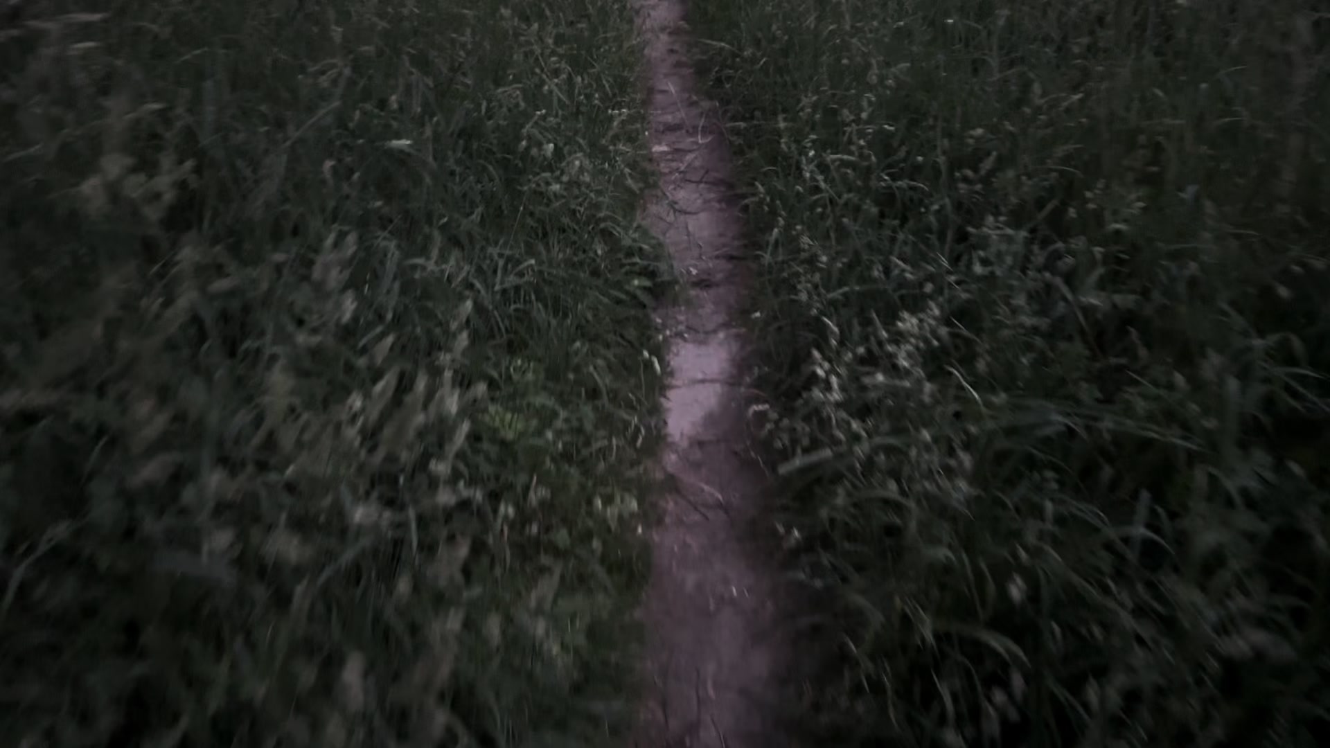 @?¿
