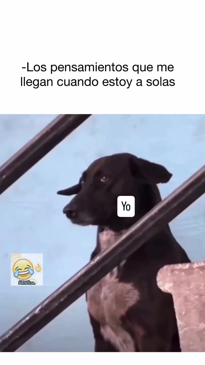 @Luan QC