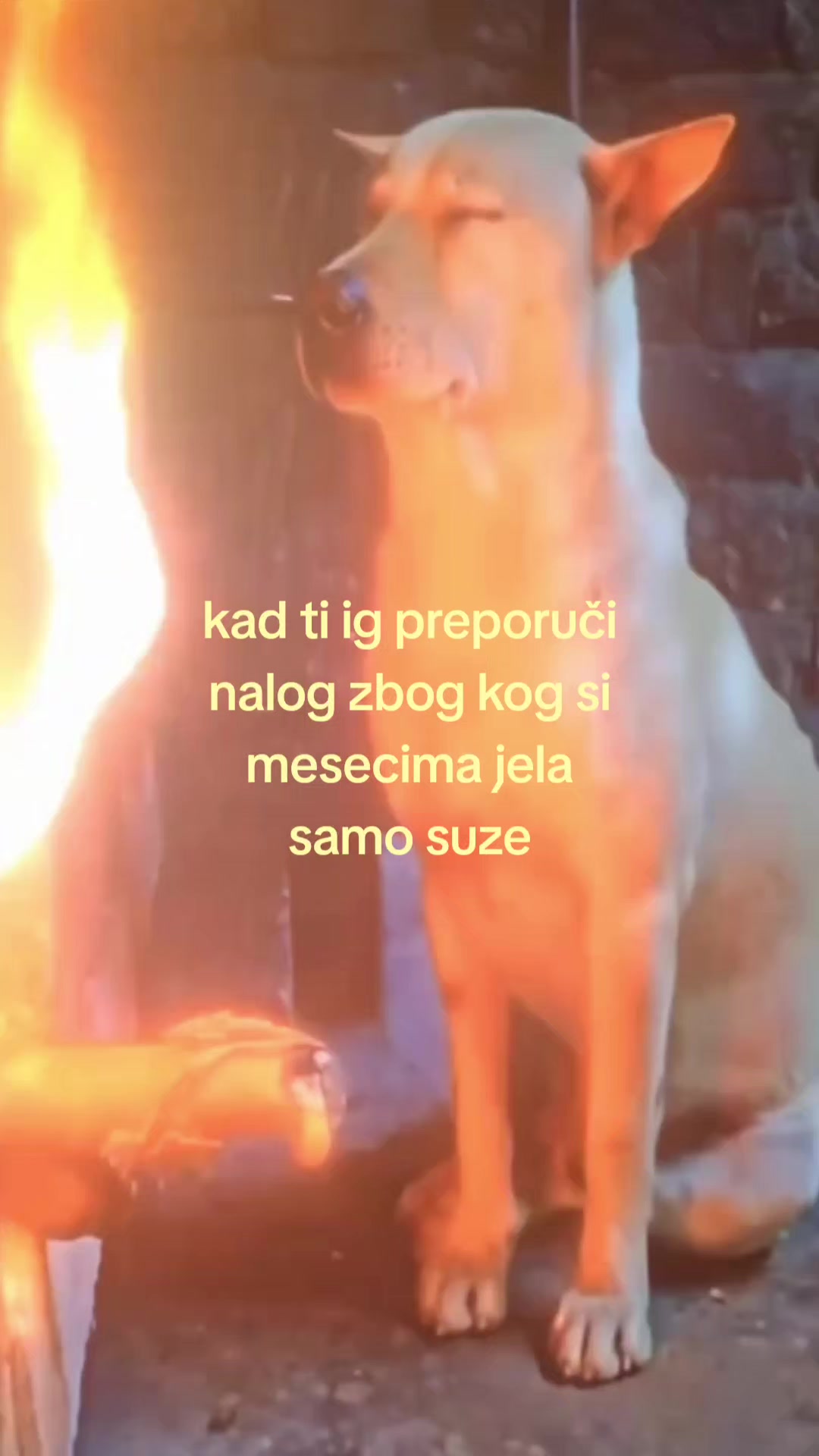 @𖹭 𝑫 𝑰 𝑽 𝑰 𝑵 𝑬 𖹭