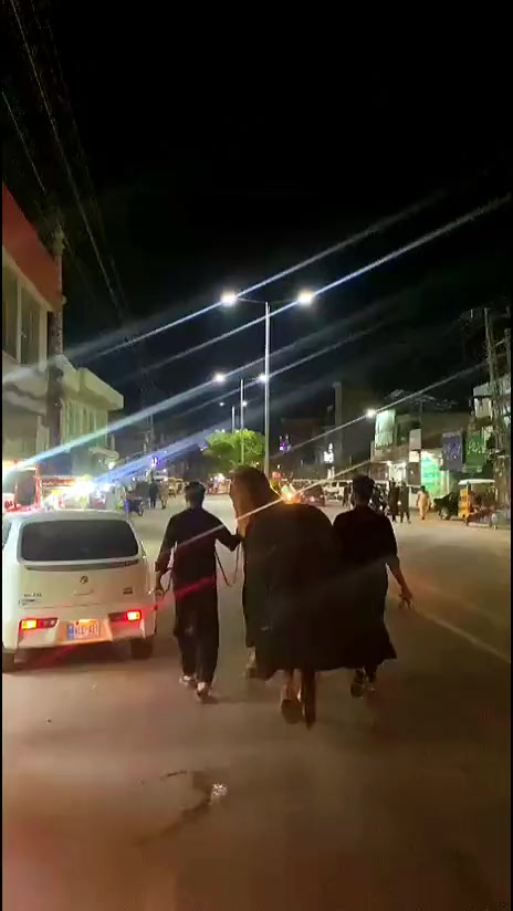 @مرکزی ذوالجناح تلہ گنگ
