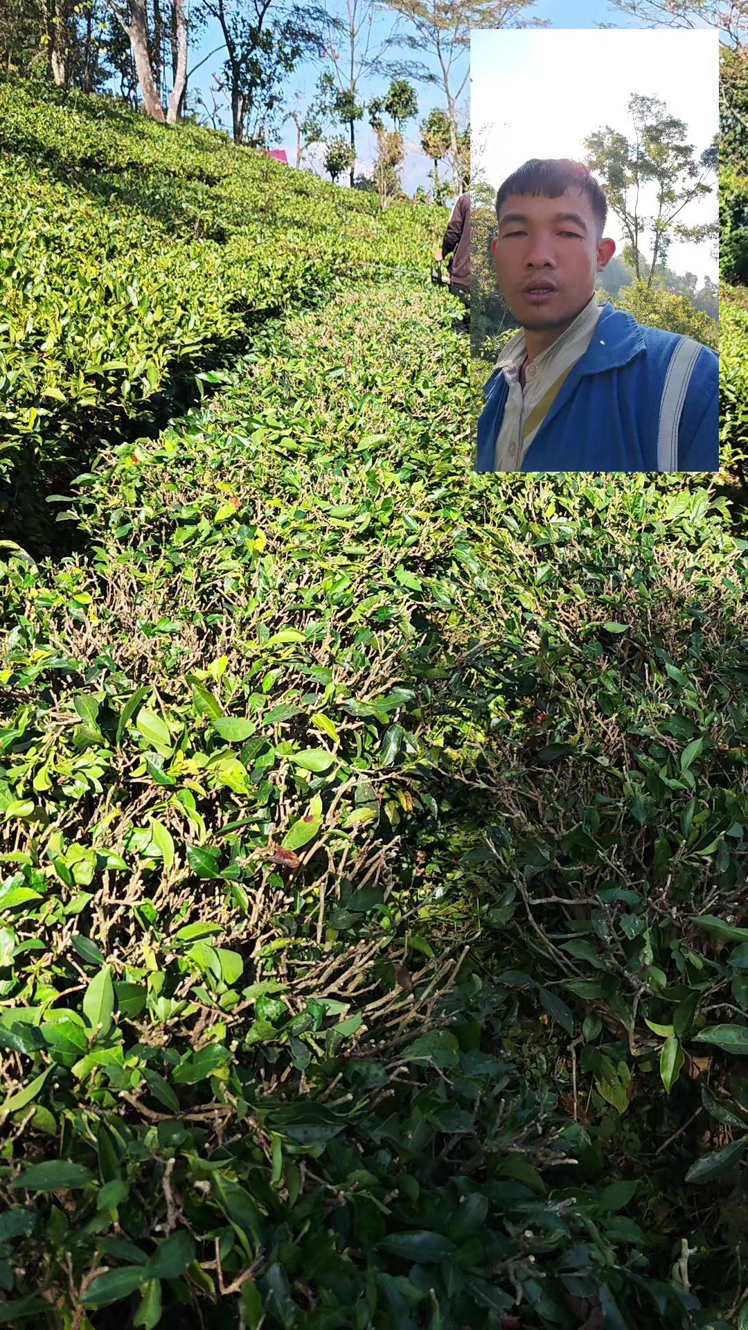 @Niraj Rai