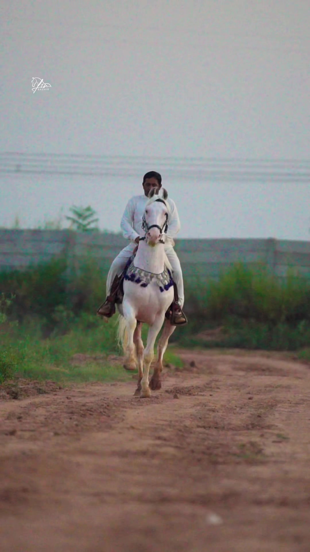 @SUNRISE STUD FARMS RAWALPINDI