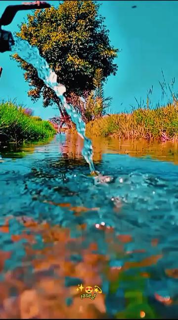 @تنویر احمد 381🤌❤️🩹🥀💔🍂🫵